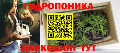 Альфа ПВП Свободный
